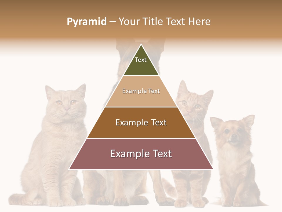 Looking At Camera Tongue Animal PowerPoint Template