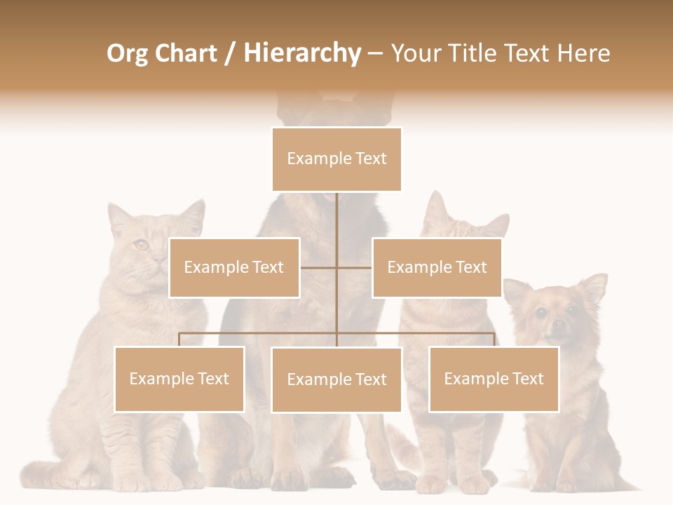 Looking At Camera Tongue Animal PowerPoint Template