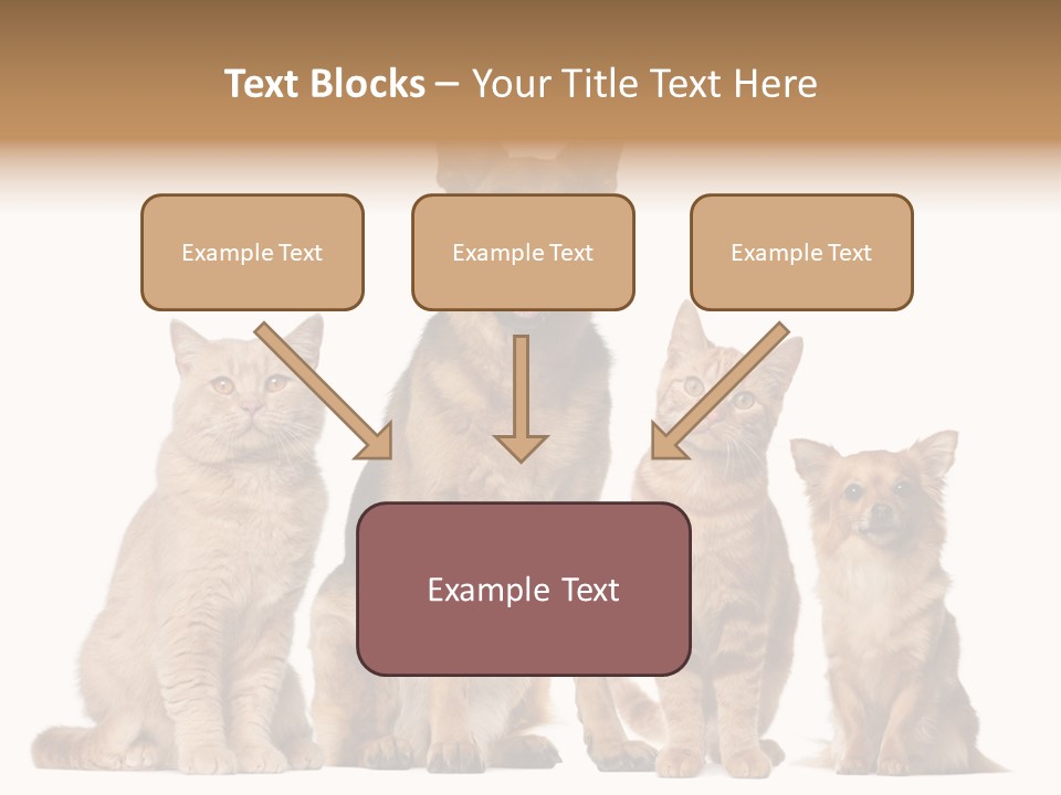 Looking At Camera Tongue Animal PowerPoint Template