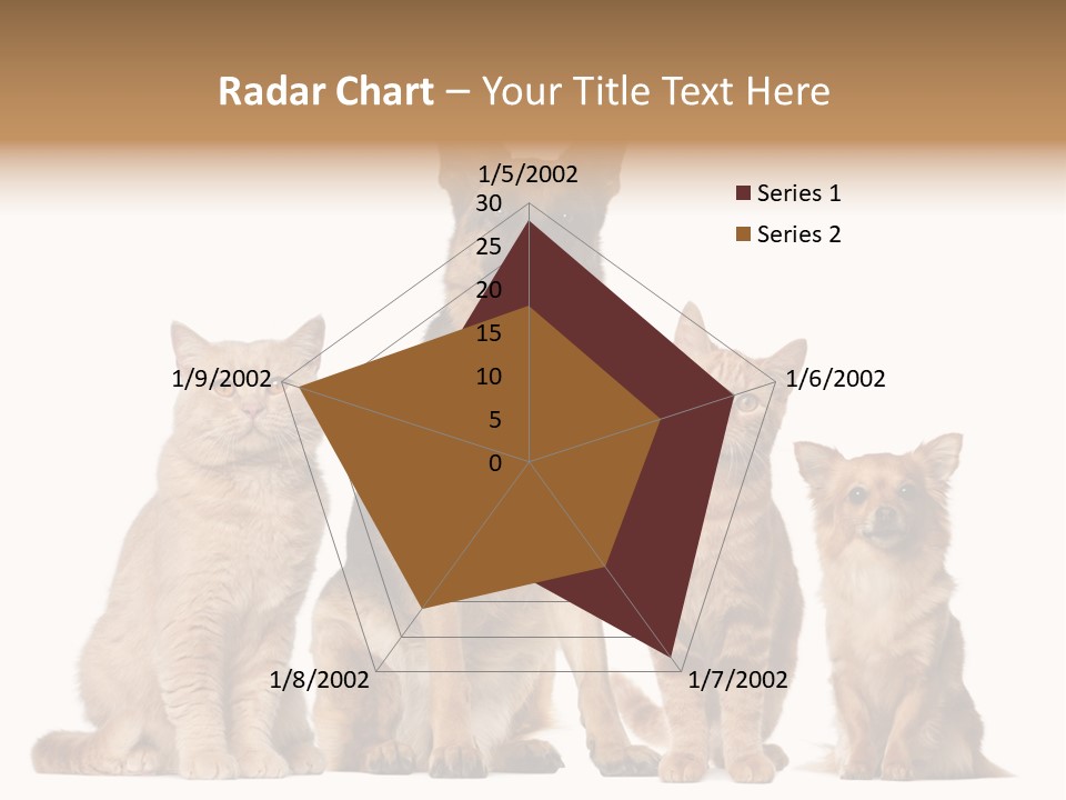 Looking At Camera Tongue Animal PowerPoint Template