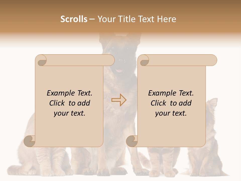 Looking At Camera Tongue Animal PowerPoint Template