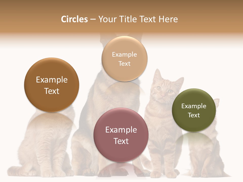 Looking At Camera Tongue Animal PowerPoint Template