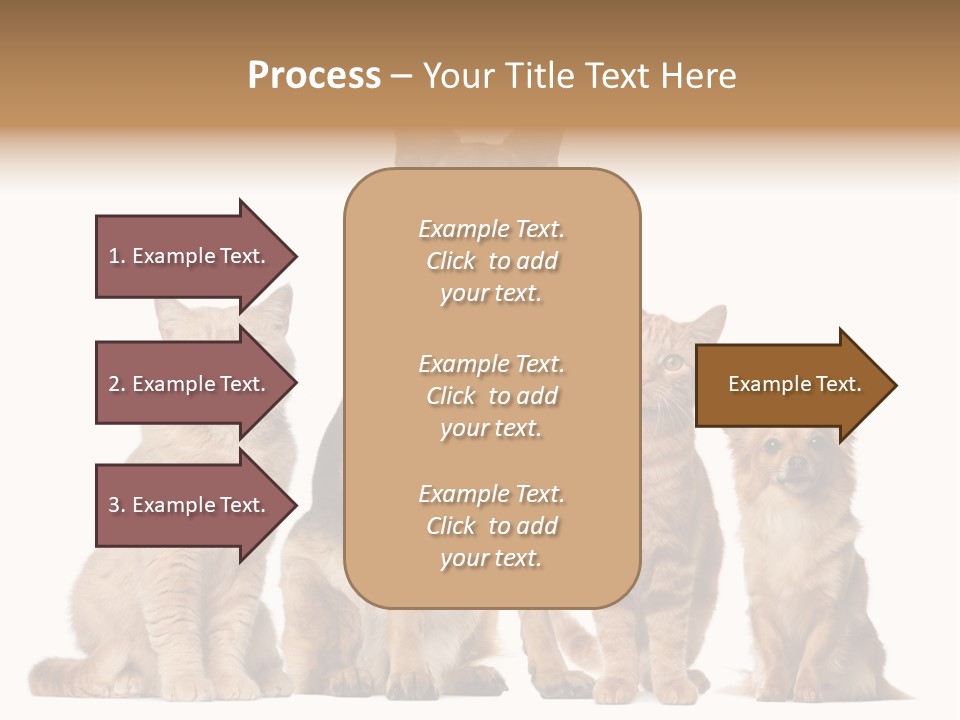 Looking At Camera Tongue Animal PowerPoint Template