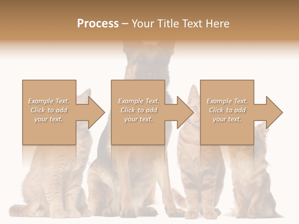 Looking At Camera Tongue Animal PowerPoint Template