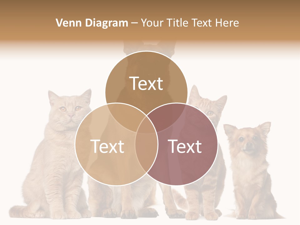 Looking At Camera Tongue Animal PowerPoint Template