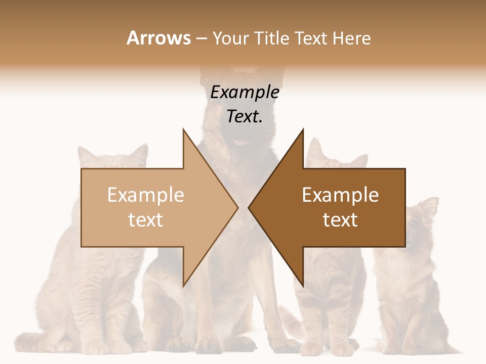 Looking At Camera Tongue Animal PowerPoint Template