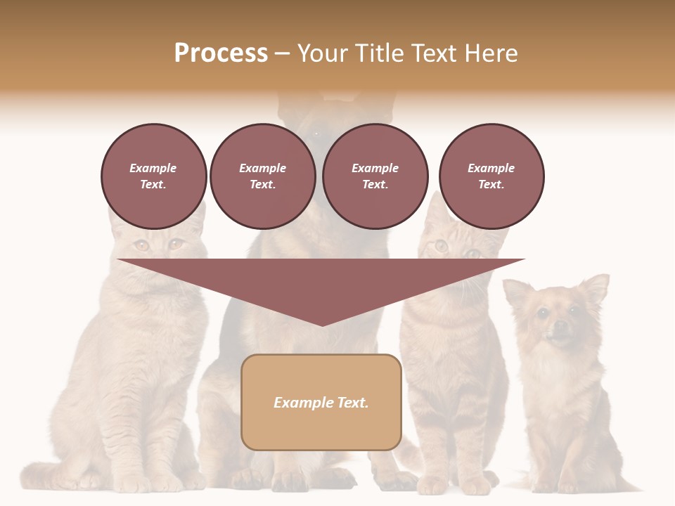 Looking At Camera Tongue Animal PowerPoint Template