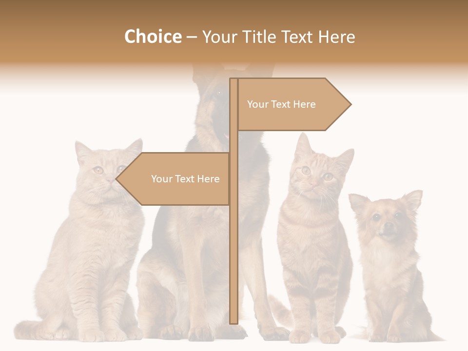 Looking At Camera Tongue Animal PowerPoint Template