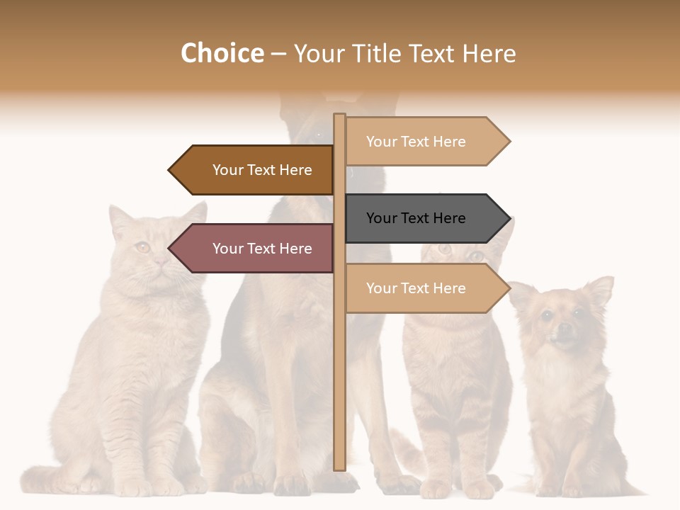 Looking At Camera Tongue Animal PowerPoint Template