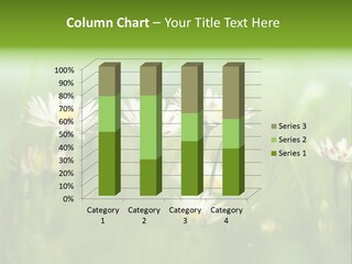 Grow Marguerite Tranquil PowerPoint Template