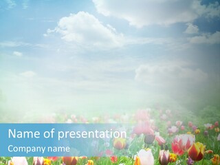 Park Valentine Greeting PowerPoint Template