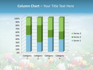 Park Valentine Greeting PowerPoint Template