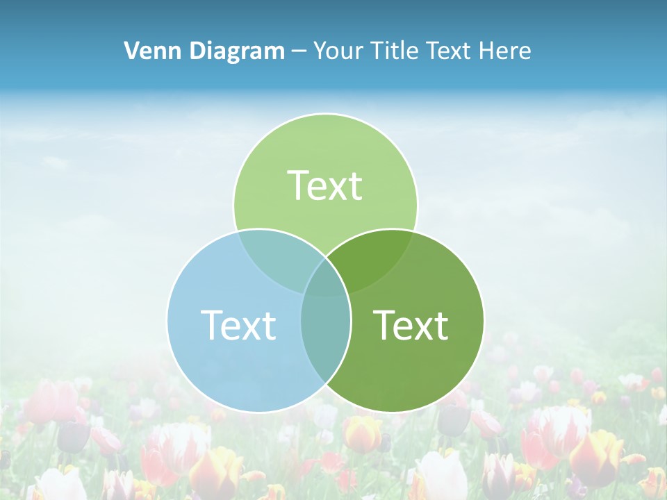 Park Valentine Greeting PowerPoint Template