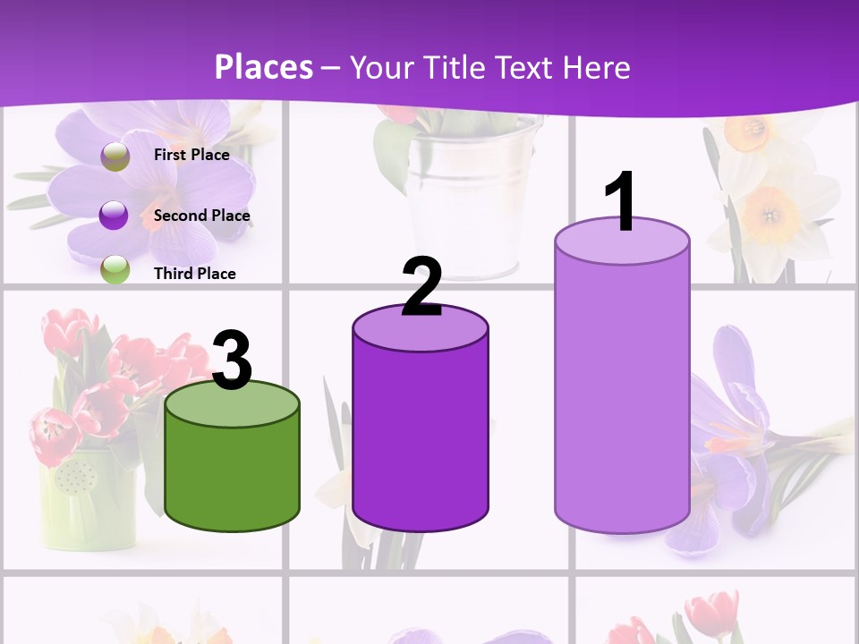 Collection White Purple PowerPoint Template