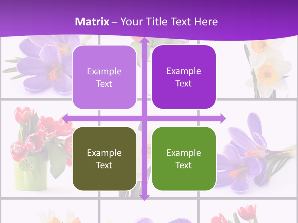 Collection White Purple PowerPoint Template