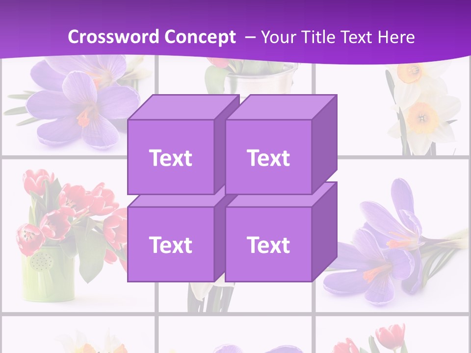 Collection White Purple PowerPoint Template