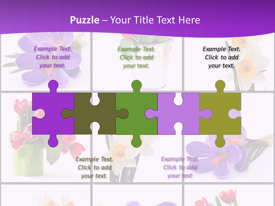 Collection White Purple PowerPoint Template