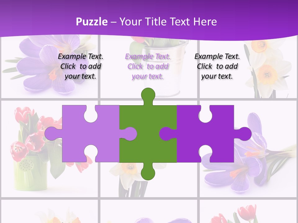 Collection White Purple PowerPoint Template
