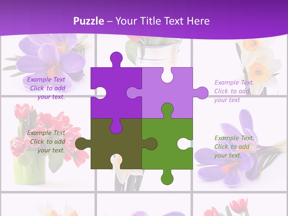 Collection White Purple PowerPoint Template