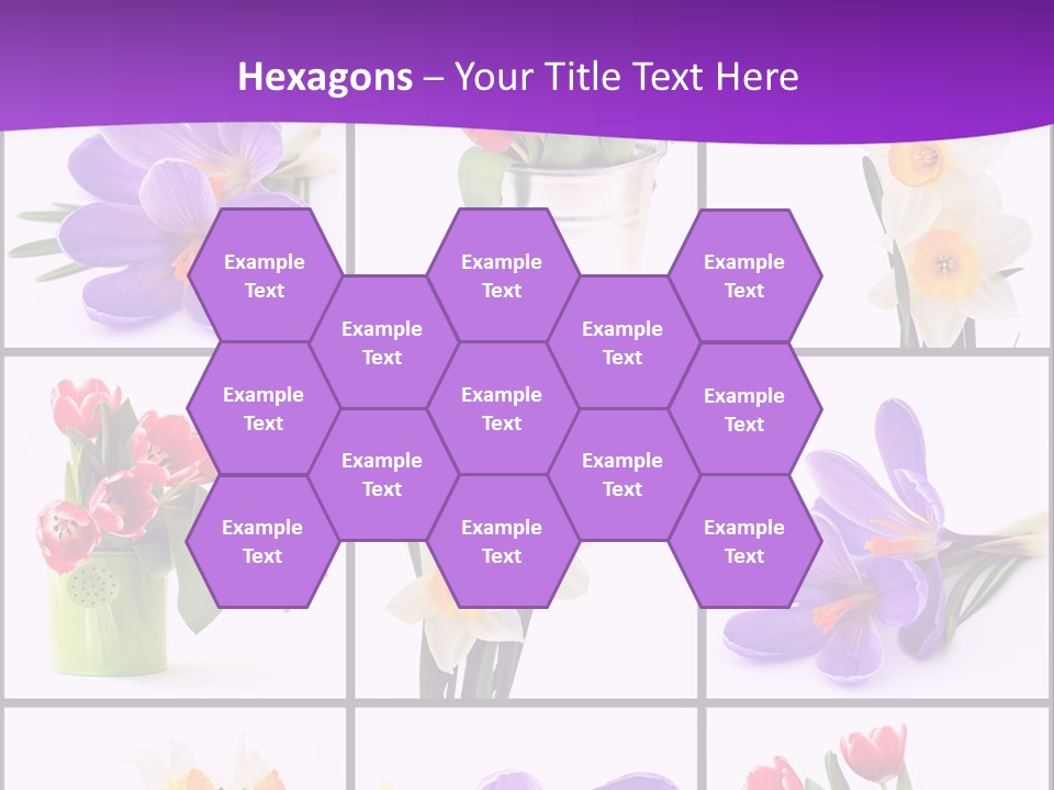 Collection White Purple PowerPoint Template