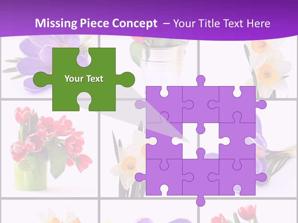 Collection White Purple PowerPoint Template