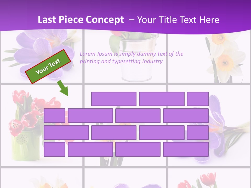 Collection White Purple PowerPoint Template