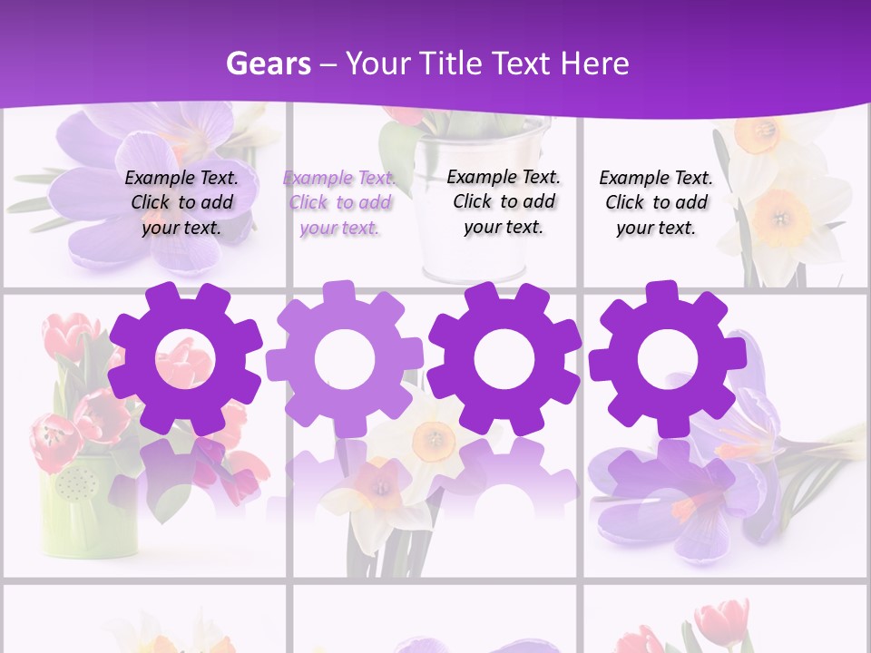 Collection White Purple PowerPoint Template
