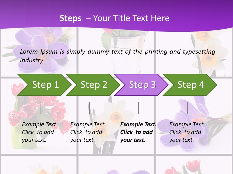 Collection White Purple PowerPoint Template