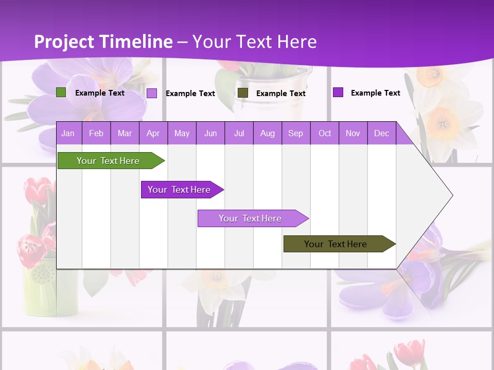 Collection White Purple PowerPoint Template