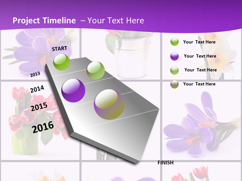 Collection White Purple PowerPoint Template