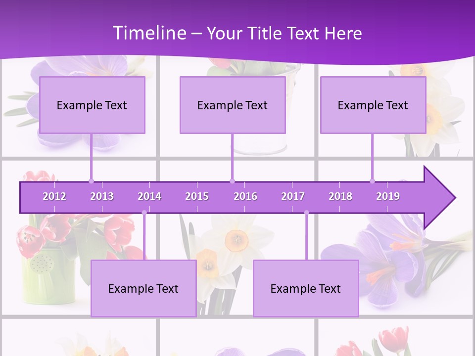 Collection White Purple PowerPoint Template