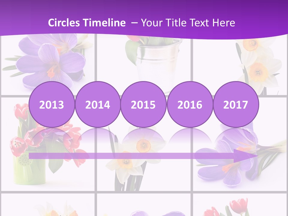Collection White Purple PowerPoint Template