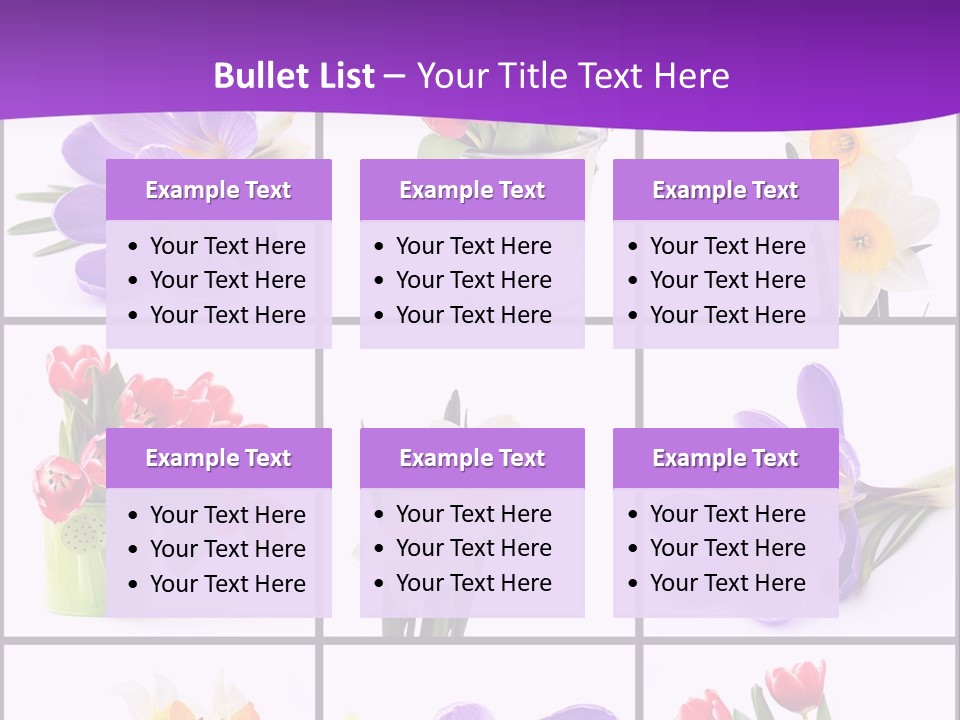Collection White Purple PowerPoint Template