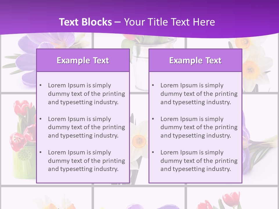 Collection White Purple PowerPoint Template