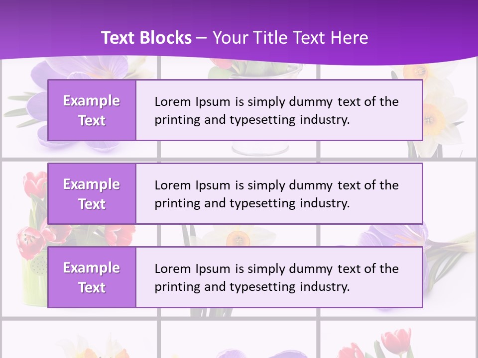 Collection White Purple PowerPoint Template