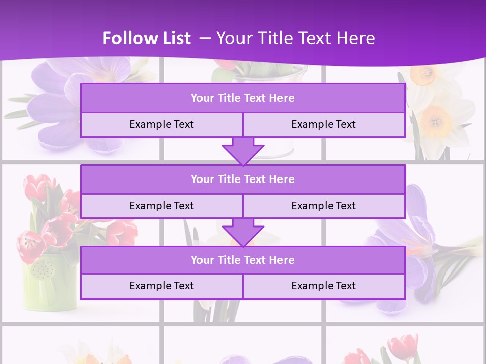 Collection White Purple PowerPoint Template