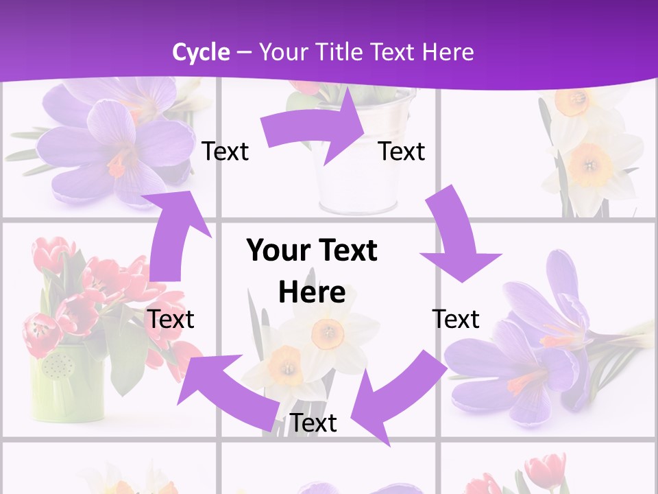 Collection White Purple PowerPoint Template
