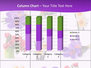 Collection White Purple PowerPoint Template