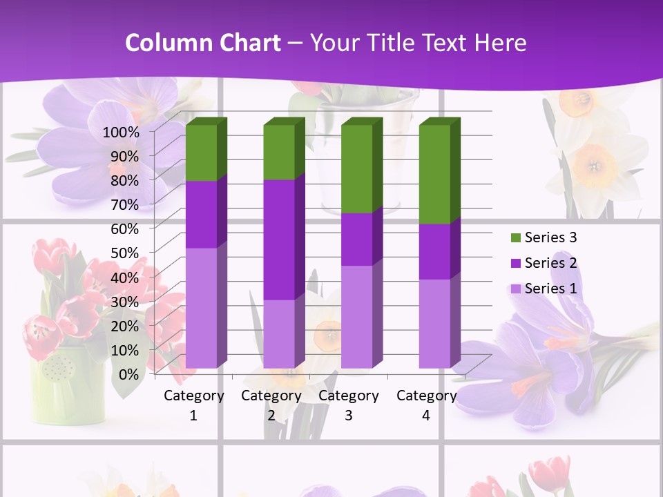 Collection White Purple PowerPoint Template