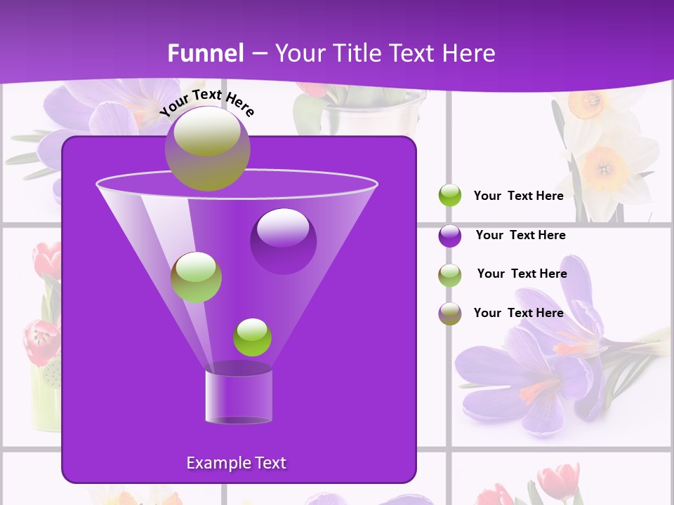 Collection White Purple PowerPoint Template
