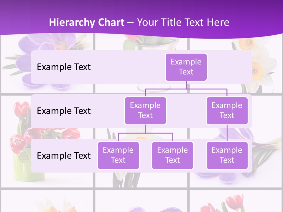 Collection White Purple PowerPoint Template
