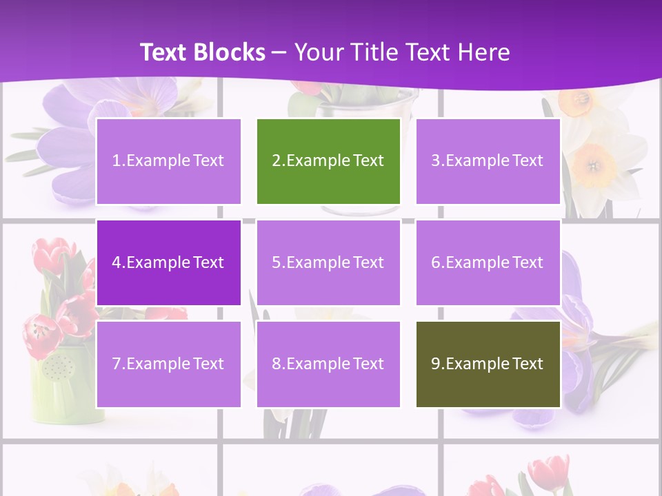 Collection White Purple PowerPoint Template