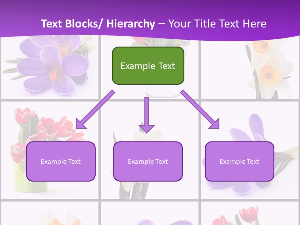 Collection White Purple PowerPoint Template