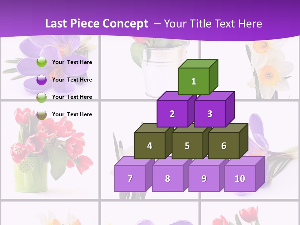 Collection White Purple PowerPoint Template