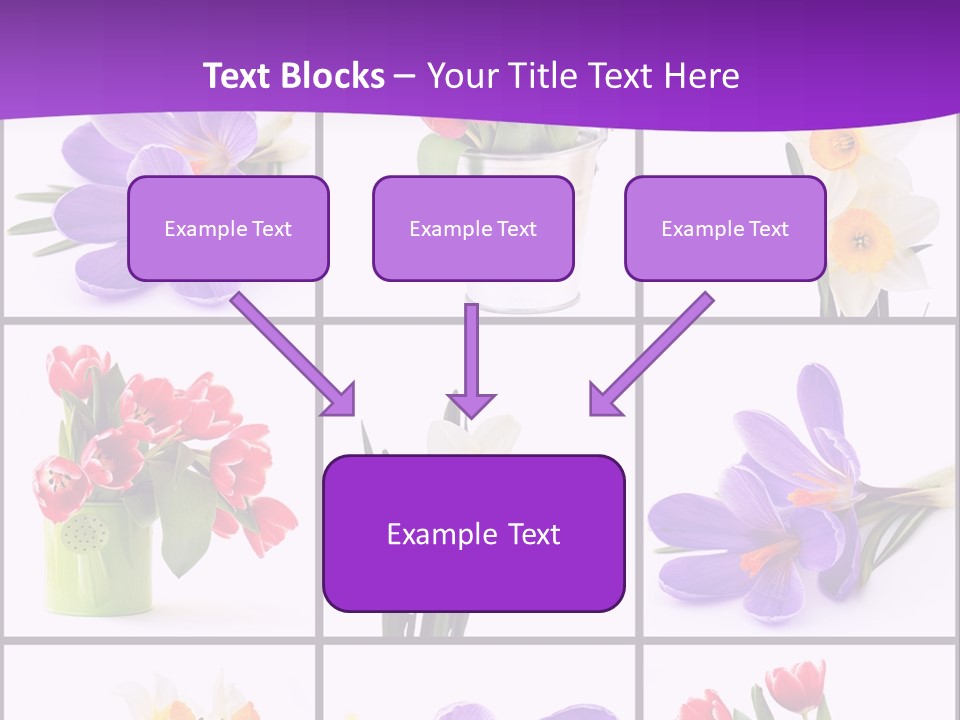 Collection White Purple PowerPoint Template