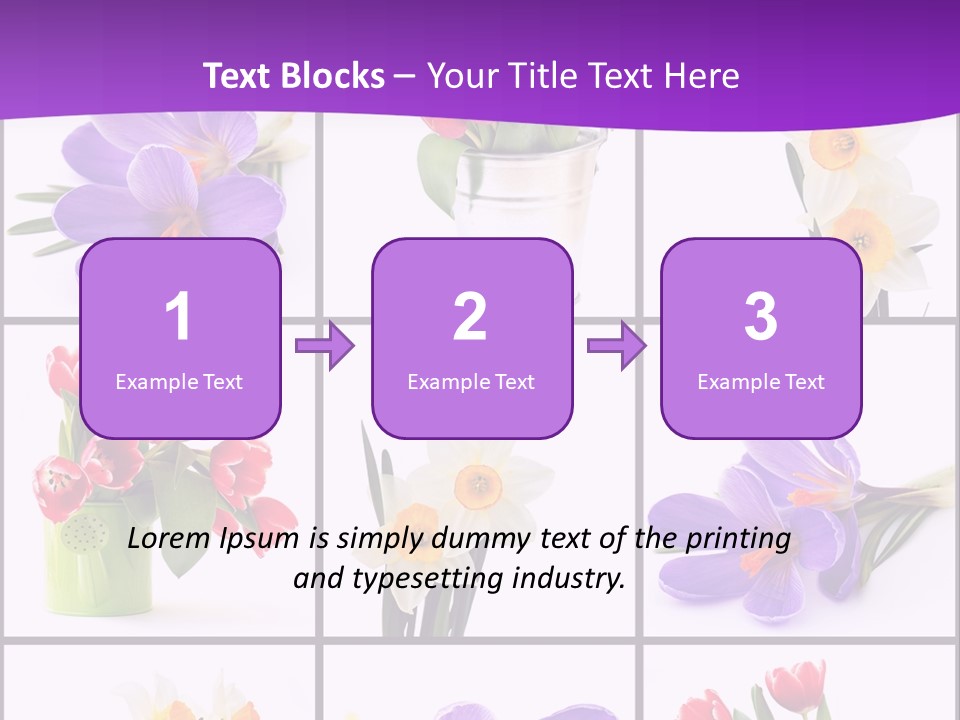 Collection White Purple PowerPoint Template