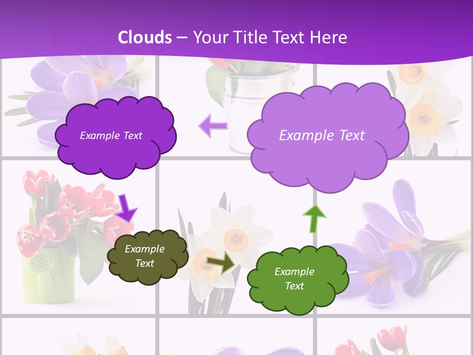 Collection White Purple PowerPoint Template