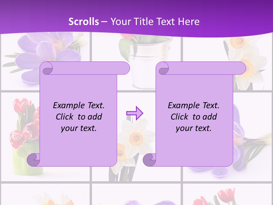 Collection White Purple PowerPoint Template