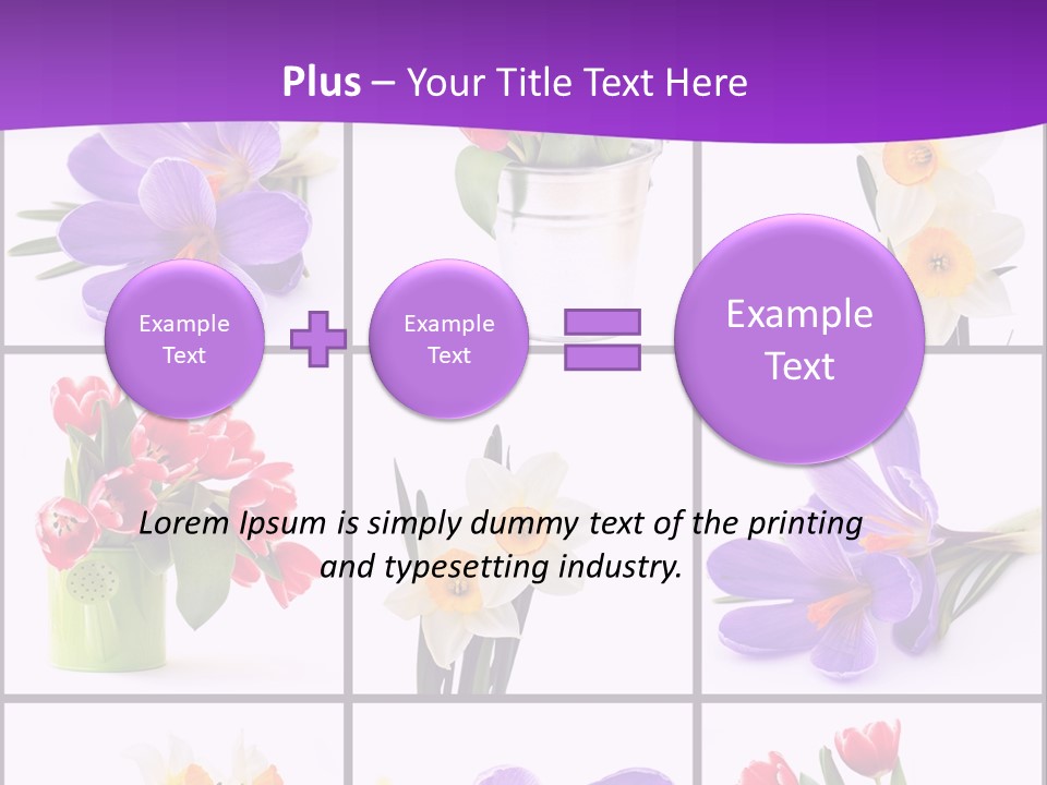 Collection White Purple PowerPoint Template
