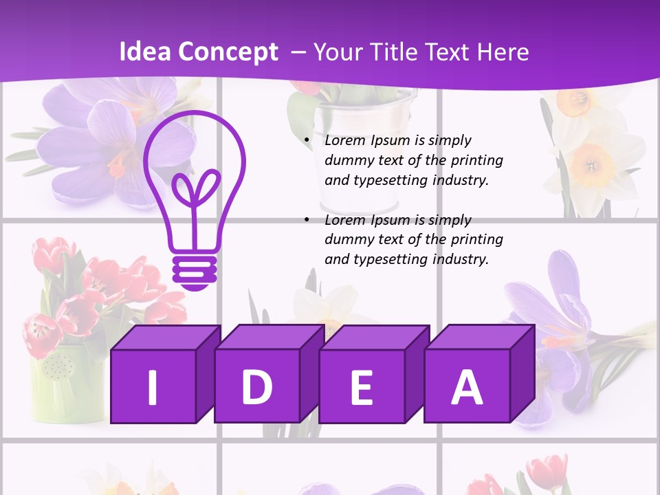 Collection White Purple PowerPoint Template